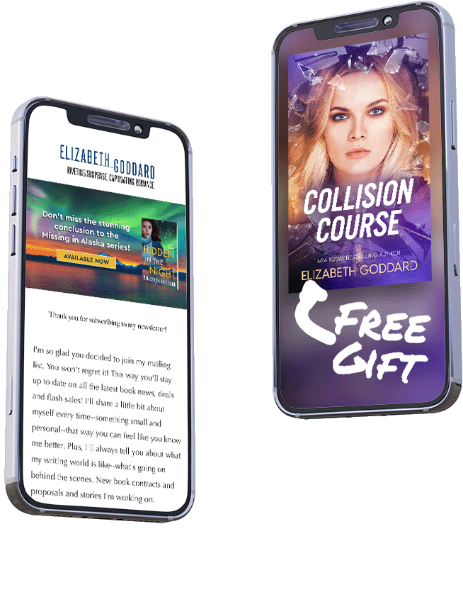 Collision Course Free Gift by Elizabeth Goddard